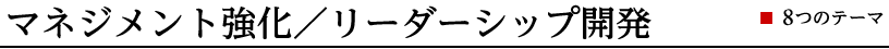マネジメント強化／リーダーシップ開発