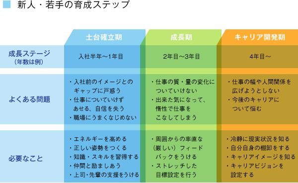 新人・若手の育成ステップ