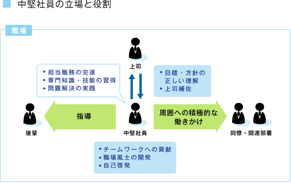 中堅社員の立場と役割